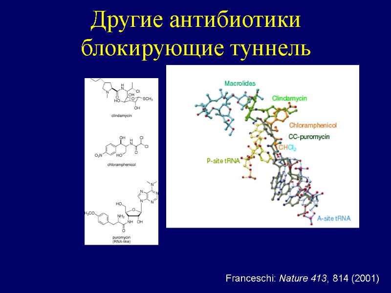 Другие антибиотики блокирующие туннель Franceschi: Nature 413, 814 (2001)